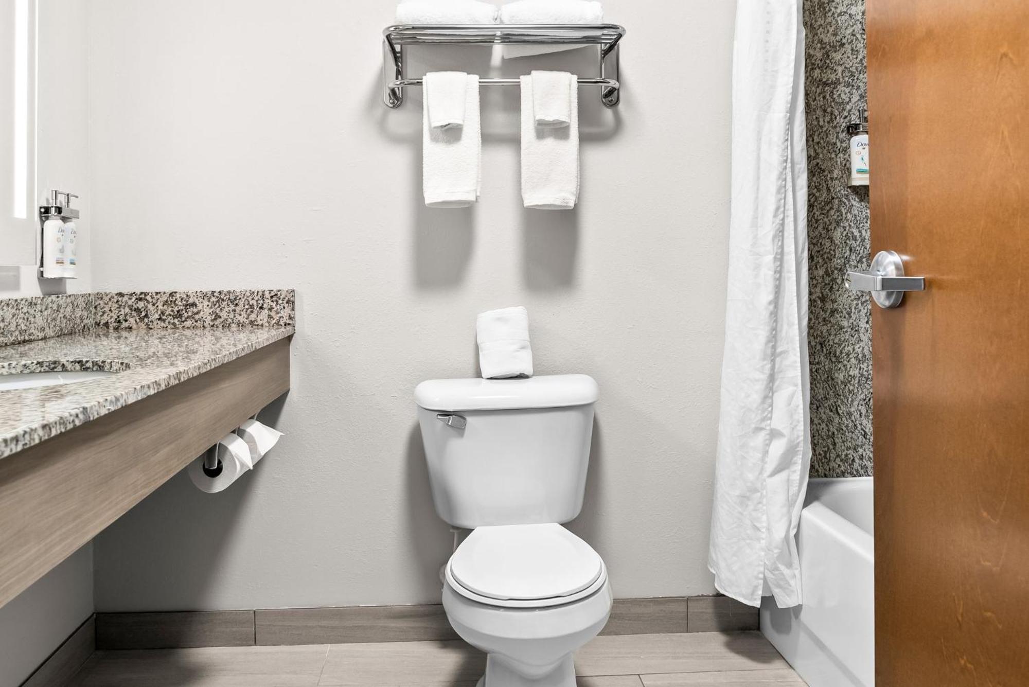 Holiday Inn Express & Suites Detroit - Novi By Ihg Екстер'єр фото
